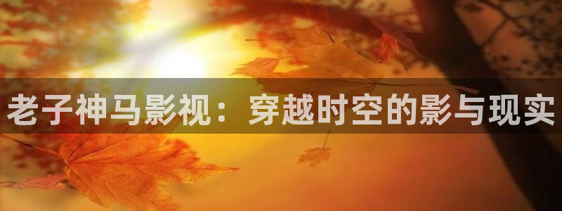 蜡笔小新第七季策驰影院：老子神马影视：穿越时空的影与现实