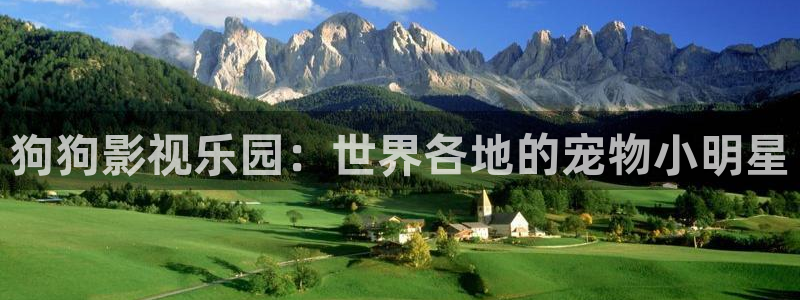 策驰影院免费电影在线观看：狗狗影视乐园：世界各地的宠物小明星