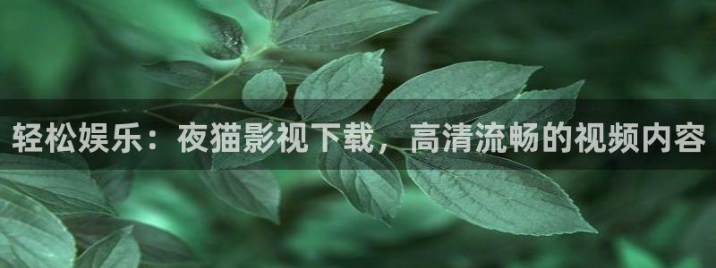 那年花开月正圆策驰影院：轻松娱乐：夜猫影视下载，高清流畅的视频内容