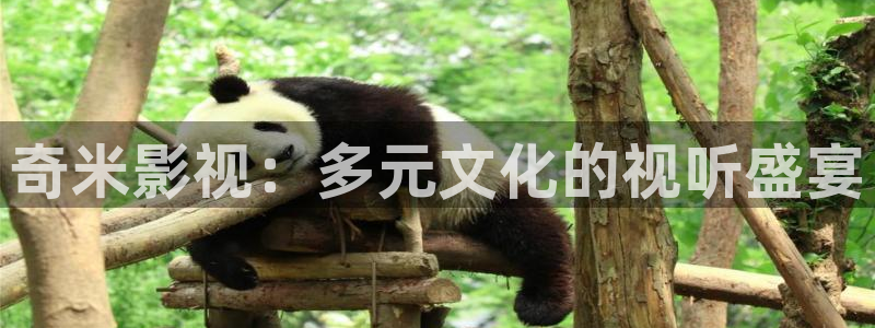 蜡笔小新策驰影院：奇米影视：多元文化的视听盛宴