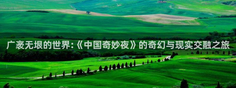 策驰影院在线电影：广袤无垠的世界:《中国奇妙夜》的奇幻与现实交融之旅