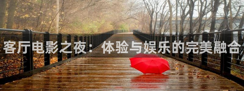 招惹电视剧策驰影院：客厅电影之夜：体验与娱乐的完美融合