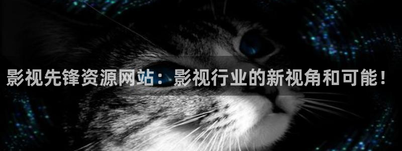 策驰电影官网：影视先锋资源网站：影视行业的新视角和可能！