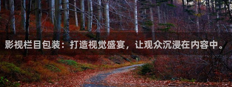 策驰影院在线观看策驰影院：影视栏目包装：打造视觉盛宴，让观众沉浸在内容中。