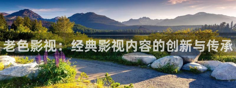 猎罪图鉴策驰影院免费观看：老色影视：经典影视内容的创新与传承