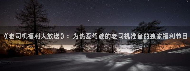 商队猎人完整版免费观看策驰影院：《老司机福利大放送》：为热爱驾驶的老司机准备的独家福利节目